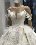 Amazing Appliques Satin Ball-Gown Off-the-shoulder Feathers Wedding Dresses