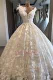 Ball-Gown Feathers Appliques Alluring V-neck Wedding Dresses