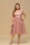 Plus Size Short Sleeves Lace V-Neck Party Dress