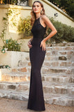 Halter Sleeveless Lace Mermaid Prom Dress Long On Sale