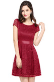 Elegant Short Sleeves Lace Mini Party Dress Scoop