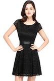 Elegant Short Sleeves Lace Mini Party Dress Scoop