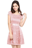 Elegant Short Sleeves Lace Mini Party Dress Scoop