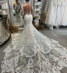 Fabulous V-Neck Long Sleeves Mermaid Lace Bridal Dress