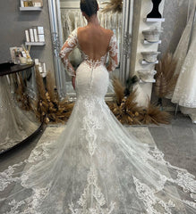 Fabulous V-Neck Long Sleeves Mermaid Lace Bridal Dress