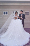 Fairy Off-the-Shoulder Lace Wedding Dress Ball Gown Princess Bridal Gowns On Sale