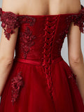 Glamorous Sleeveless Appliques Tulle A-Line Prom Dresses