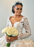 Gorgeous Beading Appliques Ball Gown Wedding Dresses | Long Sleeve Floral Feather Bridal Dresses