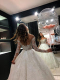 Lace Wedding Dresses with Sleeves Princess Ball Gown Bridal Dresses