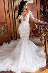 Long Sleeve Sexy Mermaid Wedding Dresses with Sleeves | Sheer Tulle Bridal Gowns with Court Train