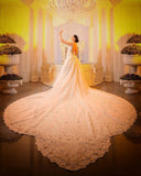 Luxury Chapel Train White Mermaid Wedding Dress With Lace Appliques