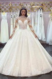 Luxury Tulle Long Sleeves Lace A-Line Zipper Wedding Dresses