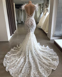 Mermaid Lace Crystals Necklace Wedding Dresses  | Open Back Bridal Gowns with Feather