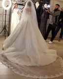 Plus Size Long Sleeve Lace Wedding Dress Tulle Bridal Gowns