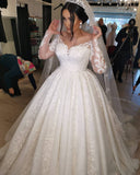 Plus Size Long Sleeve Lace Wedding Dress Tulle Bridal Gowns