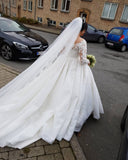 Plus Size Long Sleeve Lace Wedding Dress Tulle Bridal Gowns