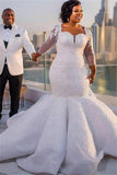 Plus Size Mermaid Lace Wedding Dresses | Sexy Wedding Dress with Sleeves