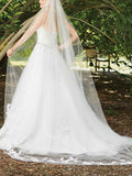 Sexy A-Line Wedding Dress Sweetheart Lace Sleeveless Bridal Gowns in Color Court Train