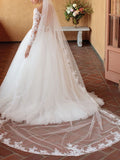 Sexy See-Through Ball Gown Wedding Dress V-neck Tulle 3/4 Sleeve Bridal Gowns in Color with Chapel Train