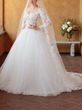 Sexy See-Through Ball Gown Wedding Dress V-neck Tulle 3/4 Sleeve Bridal Gowns in Color with Chapel Train