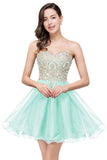 MISSHOW offers gorgeous Regency,Lilac,Royal Blue,Dark Navy,Black,Mint Green Strapless party dresses with delicately handmade Lace,Appliques,Embroidery in size 0-26W. Shop Mini prom dresses at affordable prices.